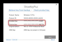 Просмотр ключей в окне приложения ShowKeyPlus